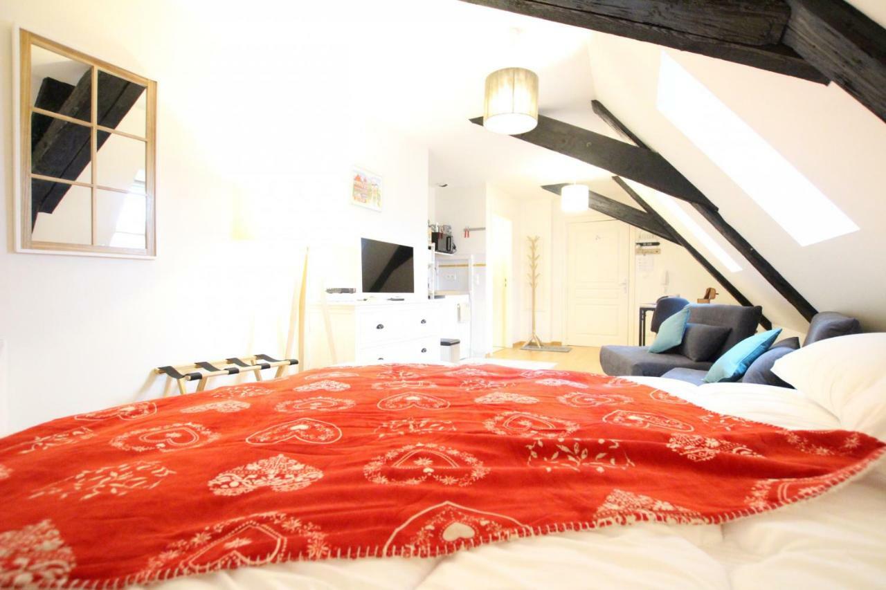 Colmar Historic Center - Cosy Studio Petit Cathedrale 1 - Bookingalsace Luaran gambar