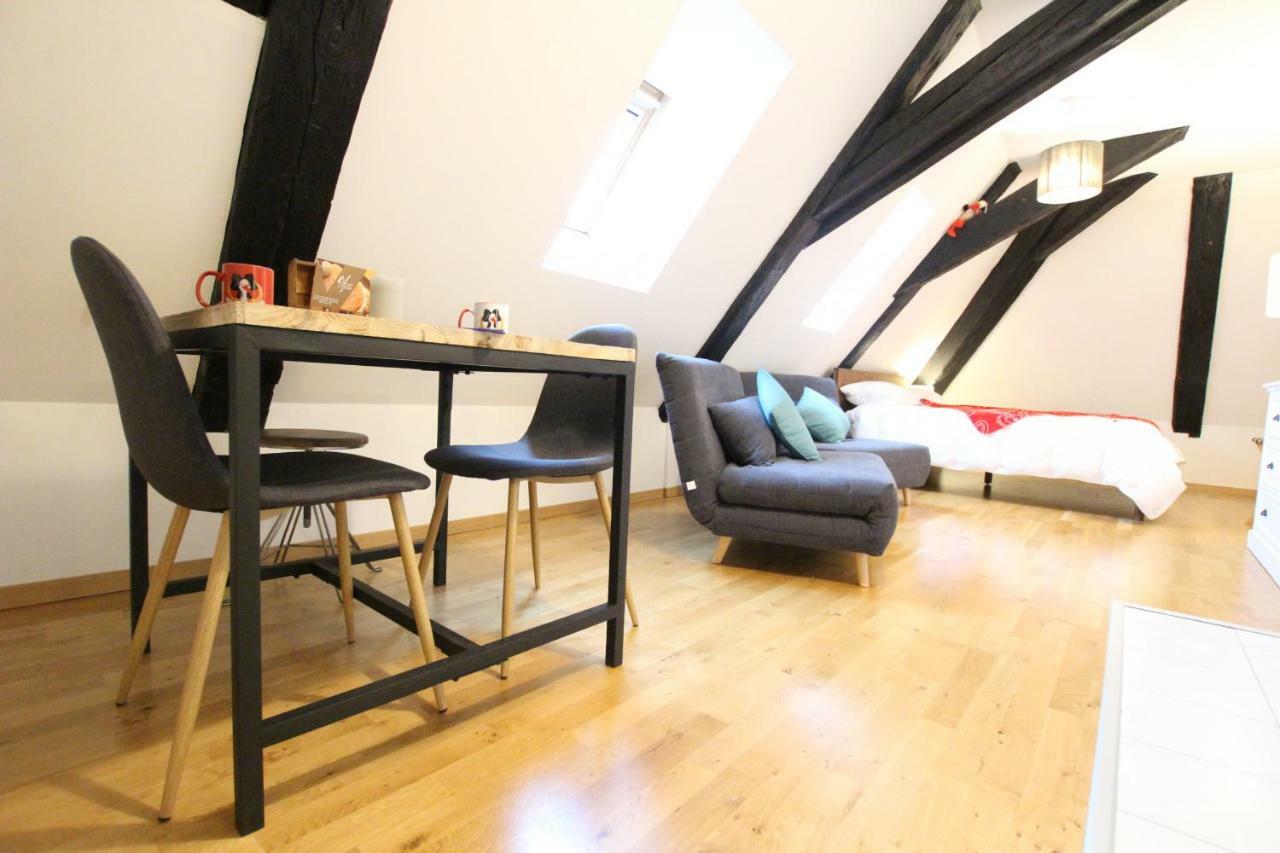 Colmar Historic Center - Cosy Studio Petit Cathedrale 1 - Bookingalsace Luaran gambar