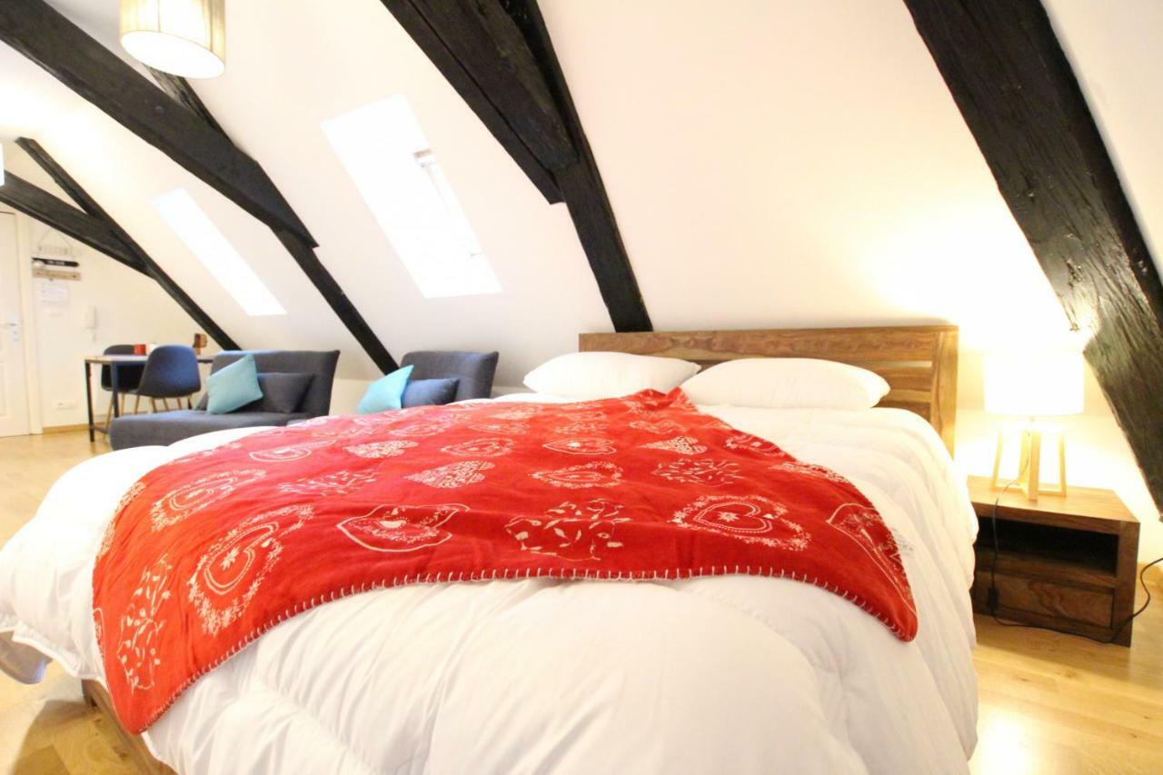 Colmar Historic Center - Cosy Studio Petit Cathedrale 1 - Bookingalsace Luaran gambar