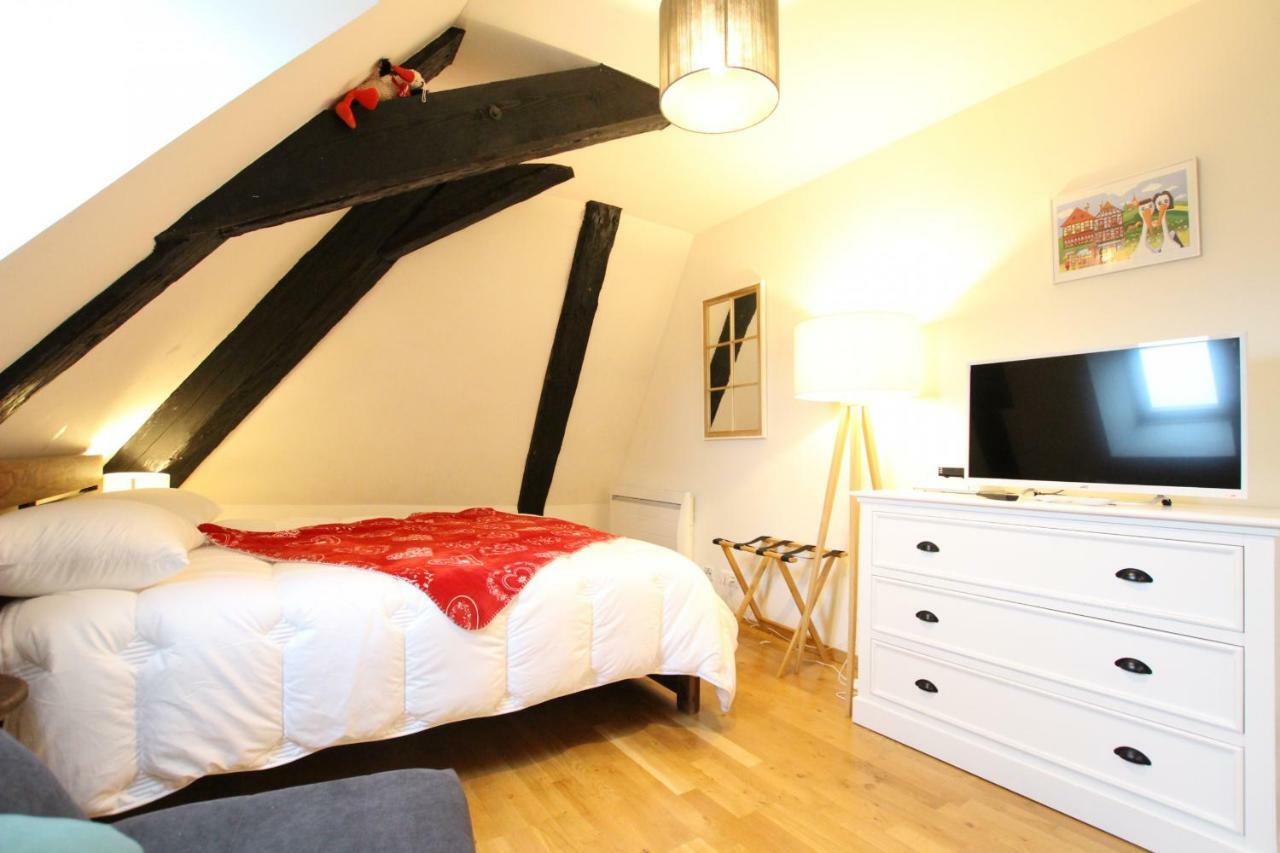 Colmar Historic Center - Cosy Studio Petit Cathedrale 1 - Bookingalsace Luaran gambar